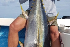 10 31 2018 Yellowfin Tuna 80 lbs a