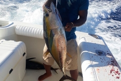 10 31 2018 Yellowfin Tuna Football, Rolingo