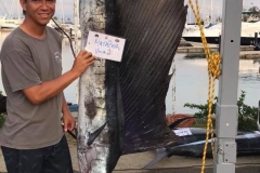 11 02 2018 Manny of Matador, Sailfish, La Cruz Tourn. 2nd place for Sailfish so far