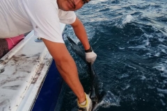 11 02 2018  Punta Mita, 8 hrs, Dorado 8