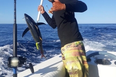 11 03 2018 Full Fish Box 4