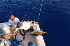 11 04 2018 Marlin hookup Tournament, Marcos Taymayo, orig 1a bait first