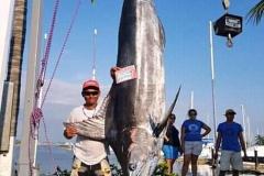 11 04 2018 Marlin hookup Tournament, Marcos Taymayo, orig 3