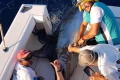 11 04 2018 Marlin hookup Tournament, Marcos Taymayo, orig 5b Animal House