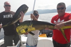 11 05 2018 Capt Victor, Dorado, Punta mita orig