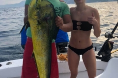 11 05 2018 Dorado in the bay