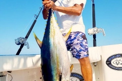 11 06 2017 Danny Gomez Yellowfin Tuna 600 pxls MBT ext