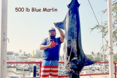 11 22 2017 Bay Marlin, Capt Cesar, El Jefe, 500 lb Blue Marlin in Bay