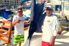 11 27 2017 Sailfish in Bay, 6 hrs, Magnifico 600 pxls MBText