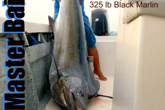 12 20 2017 350 lb Black marlin Profetta b 650 plxs MBText