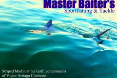 1_05-22-2019-Striped-Marlin-in-the-bay-victors-fish-650-pxls-MBText