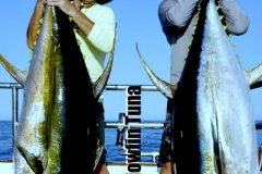 Promo Photo El Pescador