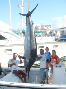 700 + lb Black Marlin @ Corbeteña