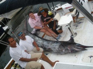 Black Marlin... 375lbs... this is a big fish, but they get a lot bigger