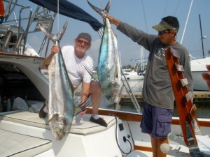 Rooster Fish on Magnifico with Angler Steve Orcutt