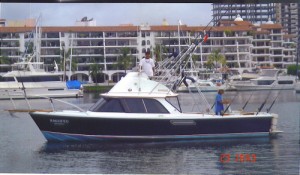 Magnifico 31 ft. Bertram Classic, Master Baiter's Guaranteed Boat!