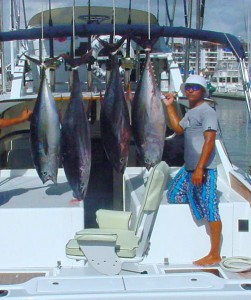 Yellowfin at El Banco on Magnifico