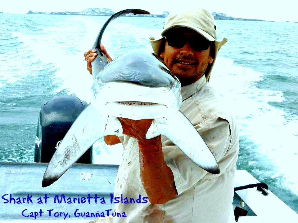 03 27 2014 Capt Tory wShark at Marietta islands