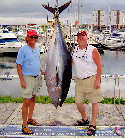 200 lb Plus Monster Yellowfin Tuna Own El Banco! - Master Baiter's Sport  Fishing & Tackle Puerto Vallarta