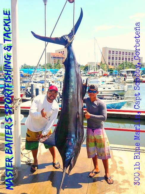 Tuna Return to Corbetena, Porpoise & Shark Bait Robbers ...