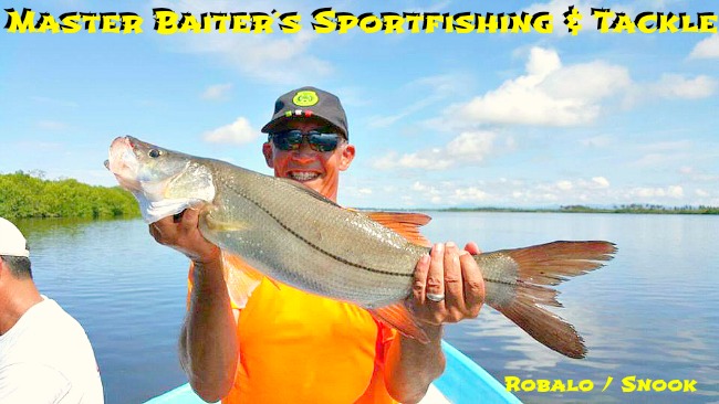 Snook or Robalo in Spanih around the rivers mouths, shoreline and structure... 