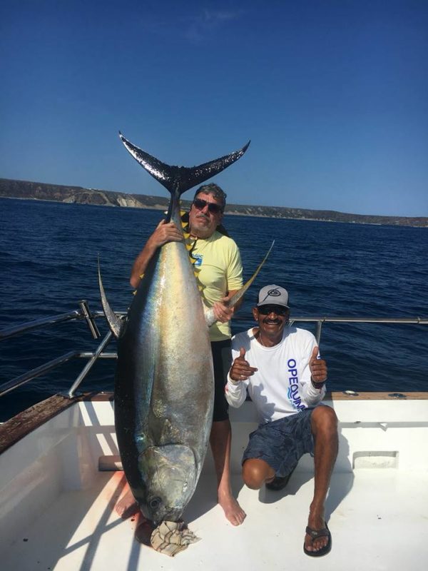 MasterBaiters.com.mx 05 16 2018 Yellowfin Tuna Cow, larry Leonetti, El ...