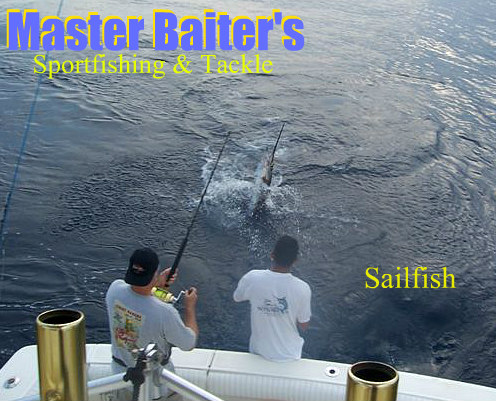 It's “Pick Your Fish” time again, Sailfish, Dorado, Marlin, Fishing is  Great! - Master Baiter's Sport Fishing & Tackle Puerto Vallarta