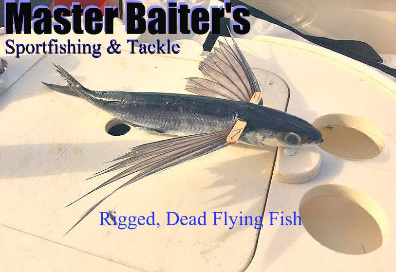 09 02 2018 Rigged Flying Fish Bait Cropped