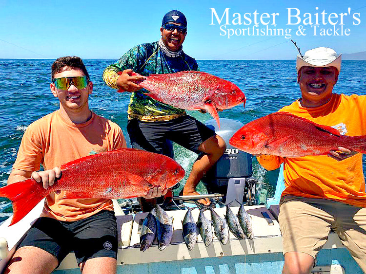 Rooster Fish - Master Baiter's Sport Fishing & Tackle Puerto Vallarta