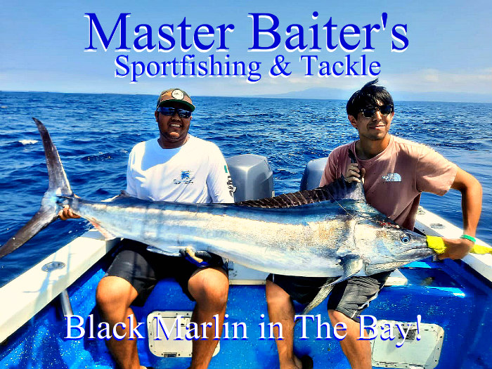 El Banco Comes To Life, Water Temps in Winter Ranges, Striped Marlin Moving  In - Master Baiter's Sport Fishing & Tackle Puerto Vallarta