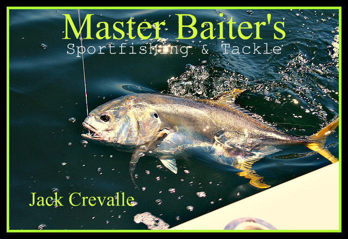 Large Rooster Fish Invade Punta Mita and the Marietta Islands - Master  Baiter's Sport Fishing & Tackle Puerto Vallarta