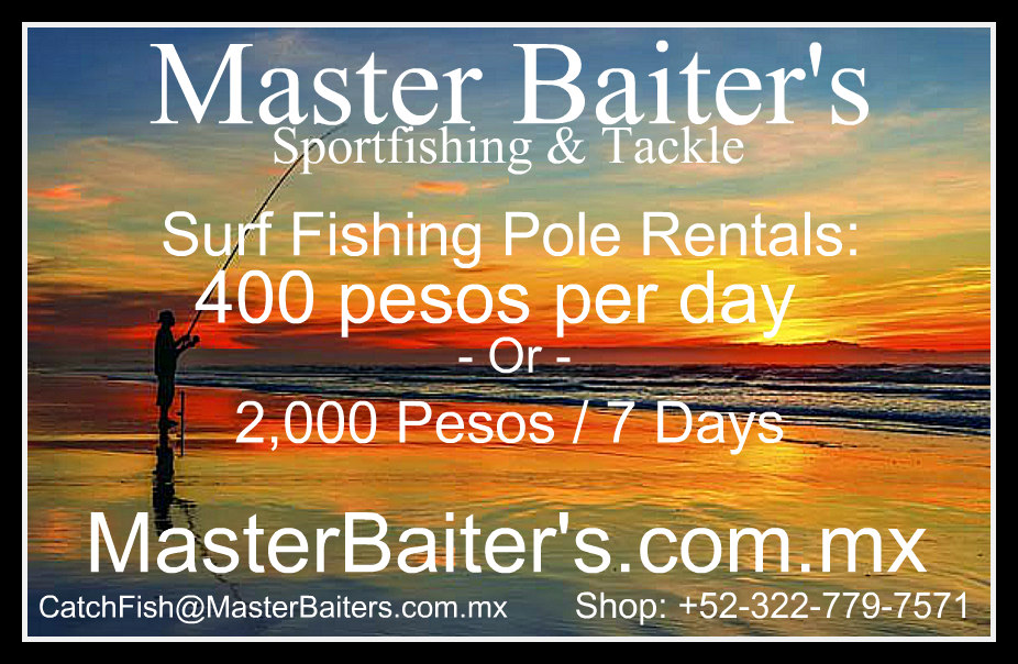 Rooster Fish Numbers Increase, Red Tide Challenges, Massive Bait - Master  Baiter's Sport Fishing & Tackle Puerto Vallarta