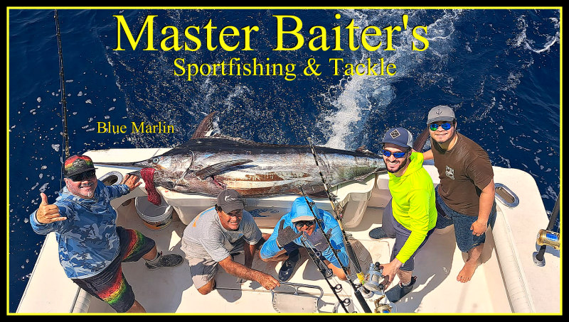 Marlin, Yellowfin Tuna, Dorado Move In, Bait, Blue Water Dream