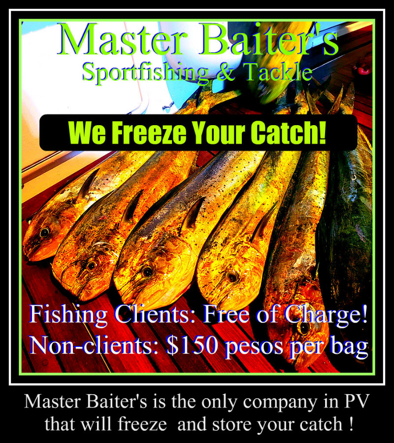 Fishing in Reverse, Hot Water, Scarce Bait, 100 lb Tuna - Master Baiter's  Sport Fishing & Tackle Puerto Vallarta