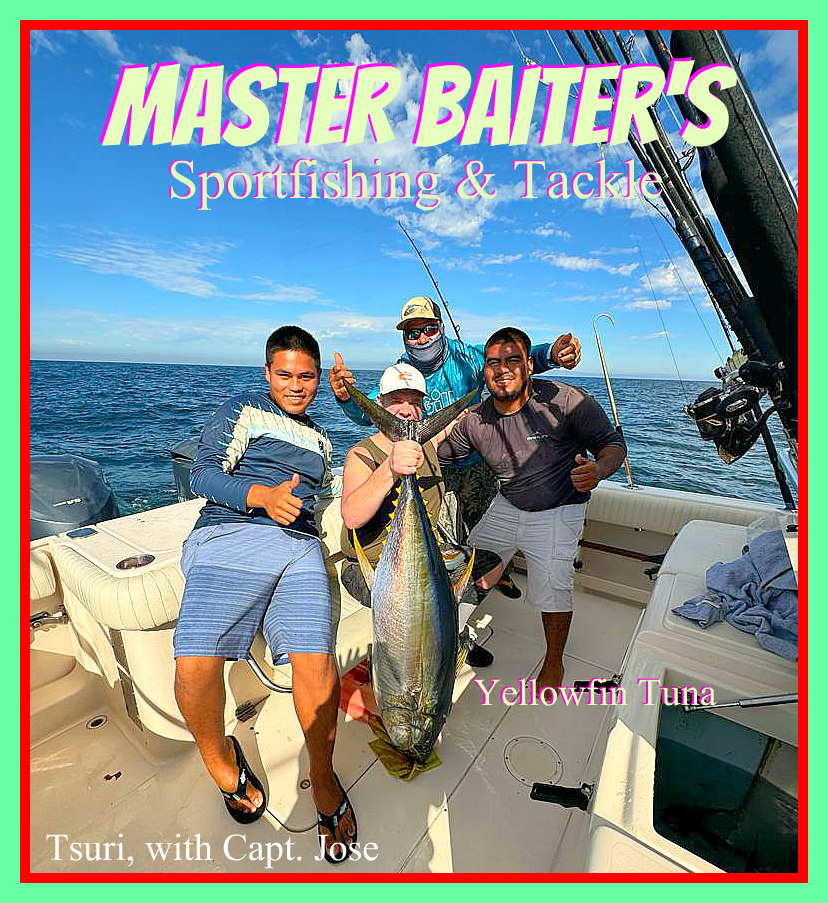 Dorado Everywhere, Summer Species Linger - Master Baiter's Sport Fishing &  Tackle Puerto Vallarta